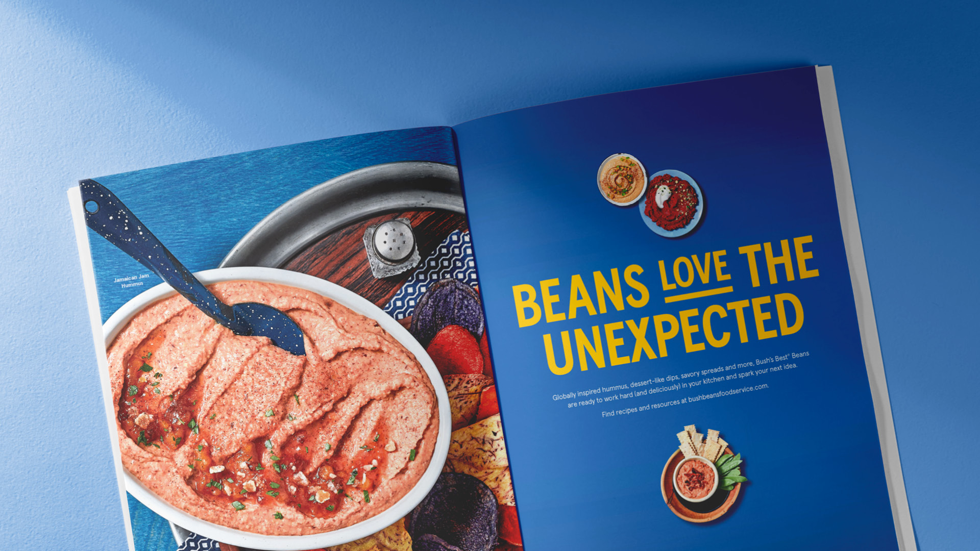An open brochure on a blue background with dip photography and text that says "Beans love the unexpected."