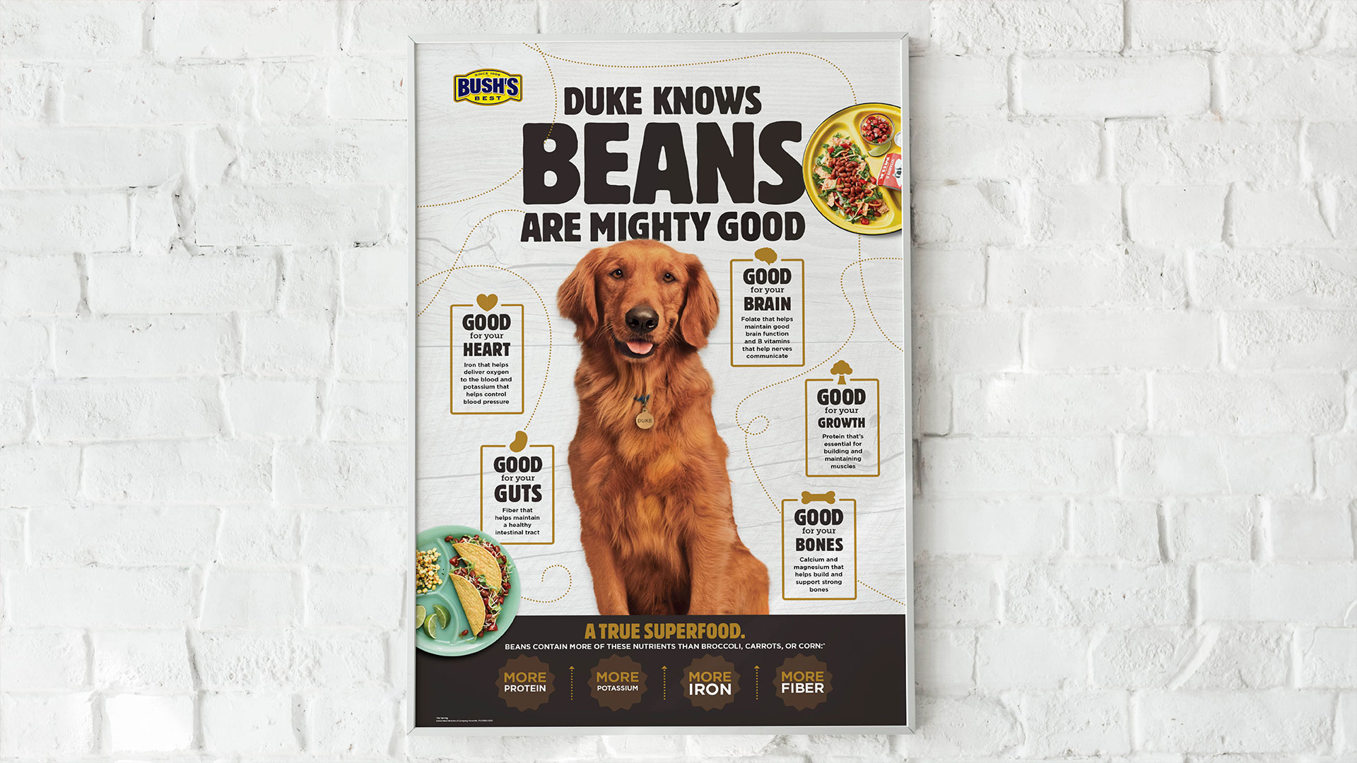 Bush’s K-12 Duke Knows Beans are Mighty Good Poster